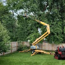 Best Tree and Shrub Care  in Murphys Estates, SC